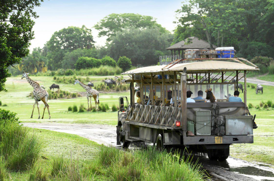 Disney's Animal Kingdom Theme Park