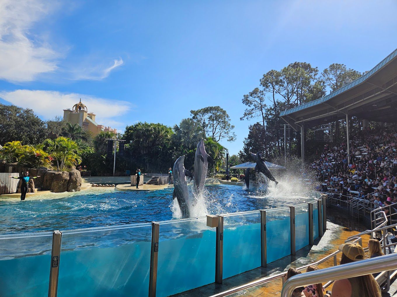 SeaWorld
