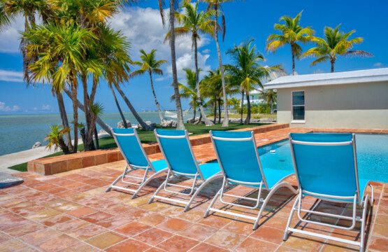 3f754120 9d35 4b77 b182 59e6021a1372.jpg