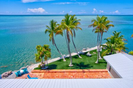 6381b421 9783 46da 8503 77c222f03d6d.jpg