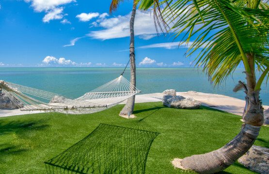 9d2f2de7 f5ad 463e 9065 32da4aa9c842.jpg