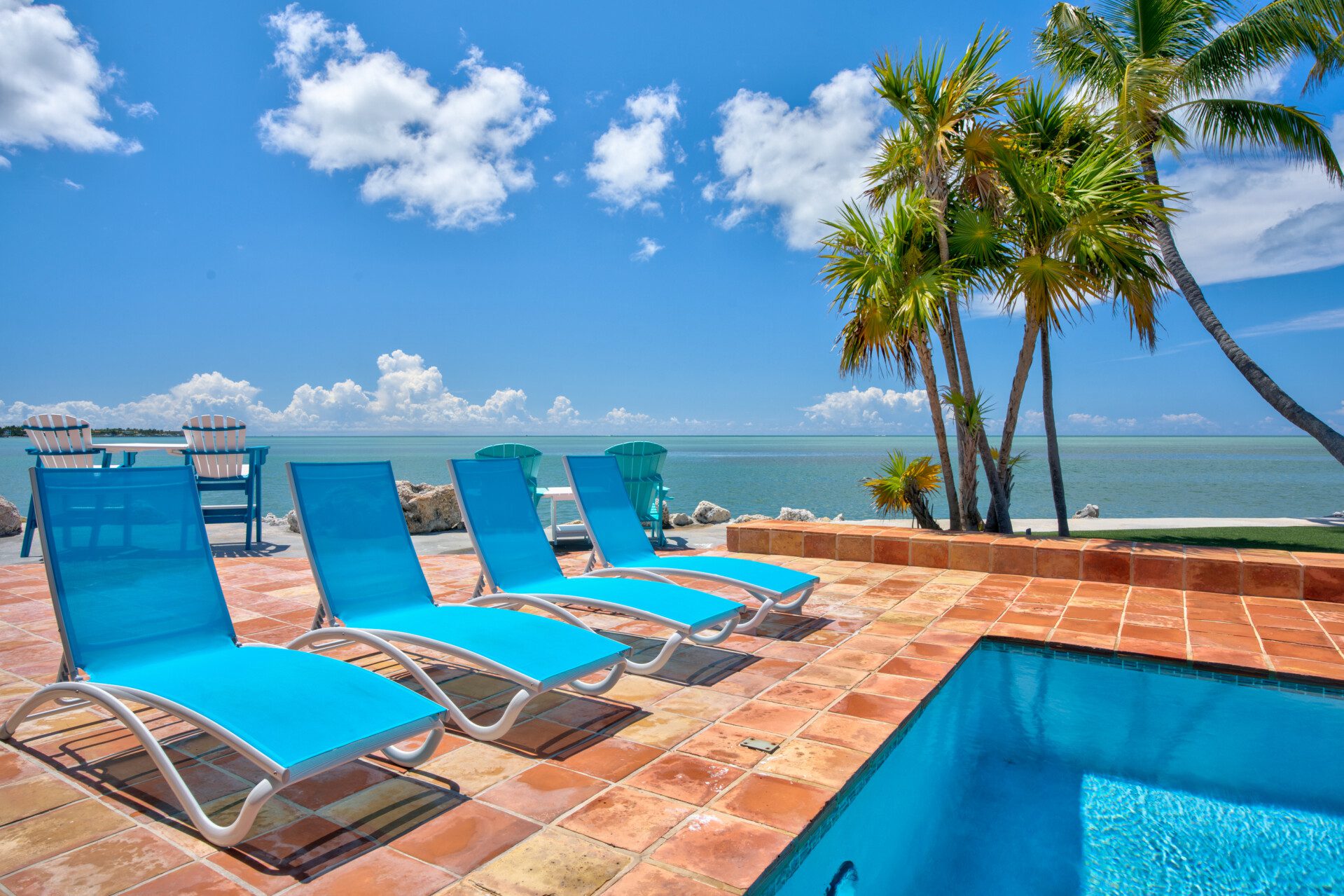 a28a2667 1fa9 4640 ac42 21518148fde5.jpg