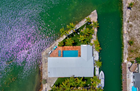 b01f8afe c769 459c 8e8c 10af0cbf55e3.jpg