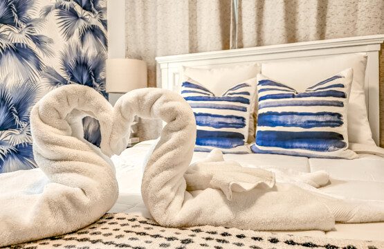 1d4edfbd 10fc 4a08 894c 20d58988fd92