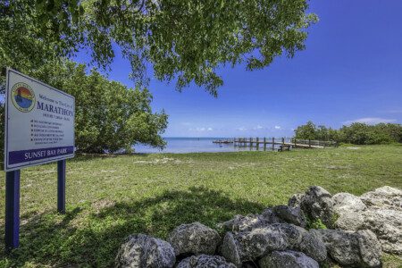 2c0a1fc3 7e0b 4058 995d bdde22bfda27