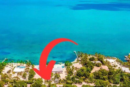 35fa1cd4 f2c5 4f31 9ffd 1e5afe300a46