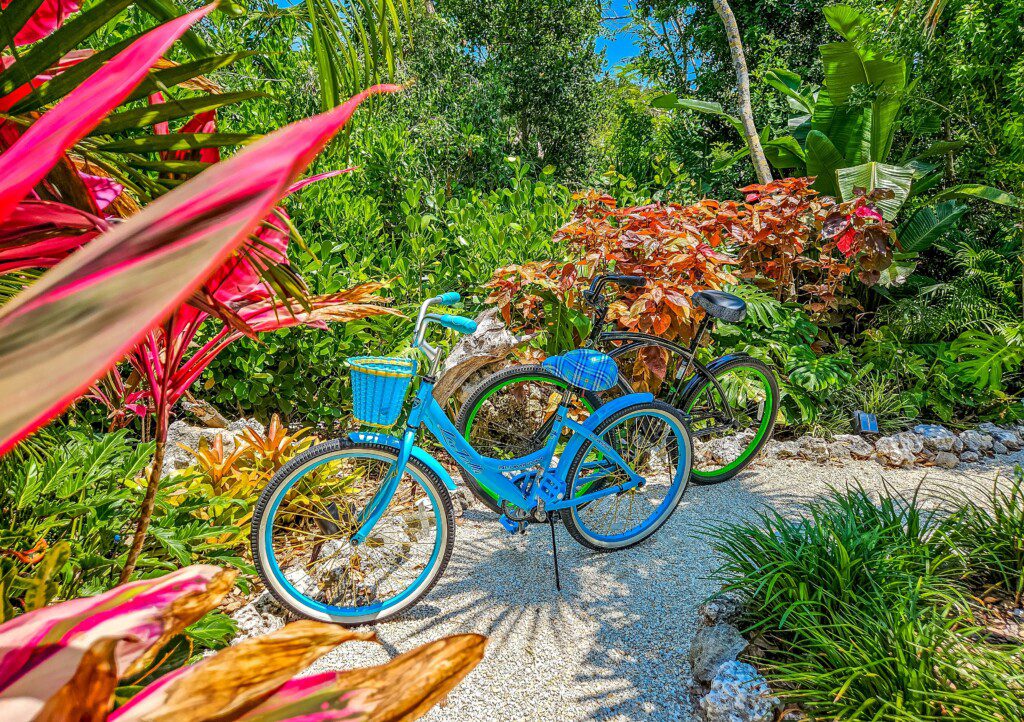 39792029 00df 41c2 8d47 373a605af98e