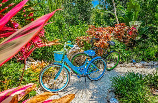 39792029 00df 41c2 8d47 373a605af98e