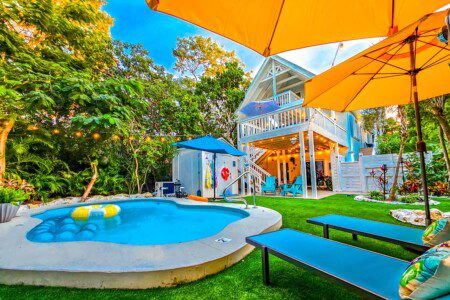 5f2e0d31 35a4 45cf 9f9d 71f50f67b27f