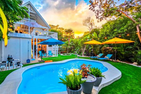 655d536e abad 4f3a a65d e3e64925f7e8