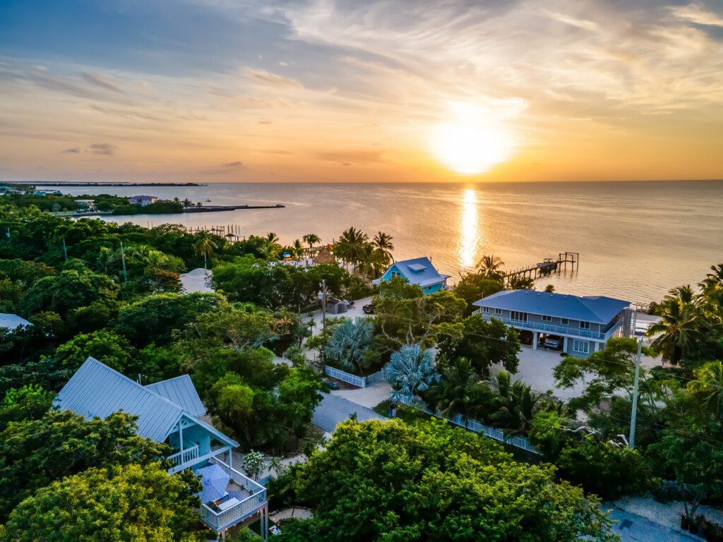 6f85ddef 5452 459e 996f a7e448183156