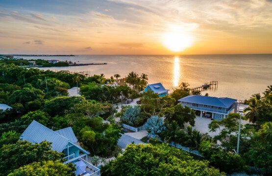 6f85ddef 5452 459e 996f a7e448183156