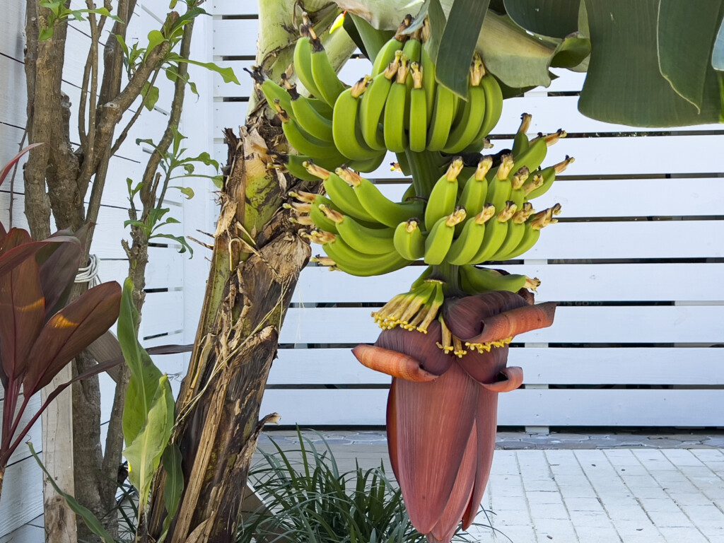 96522e82 e956 47bf 98d6 fd3556a221d0