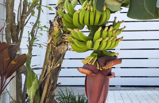 96522e82 e956 47bf 98d6 fd3556a221d0