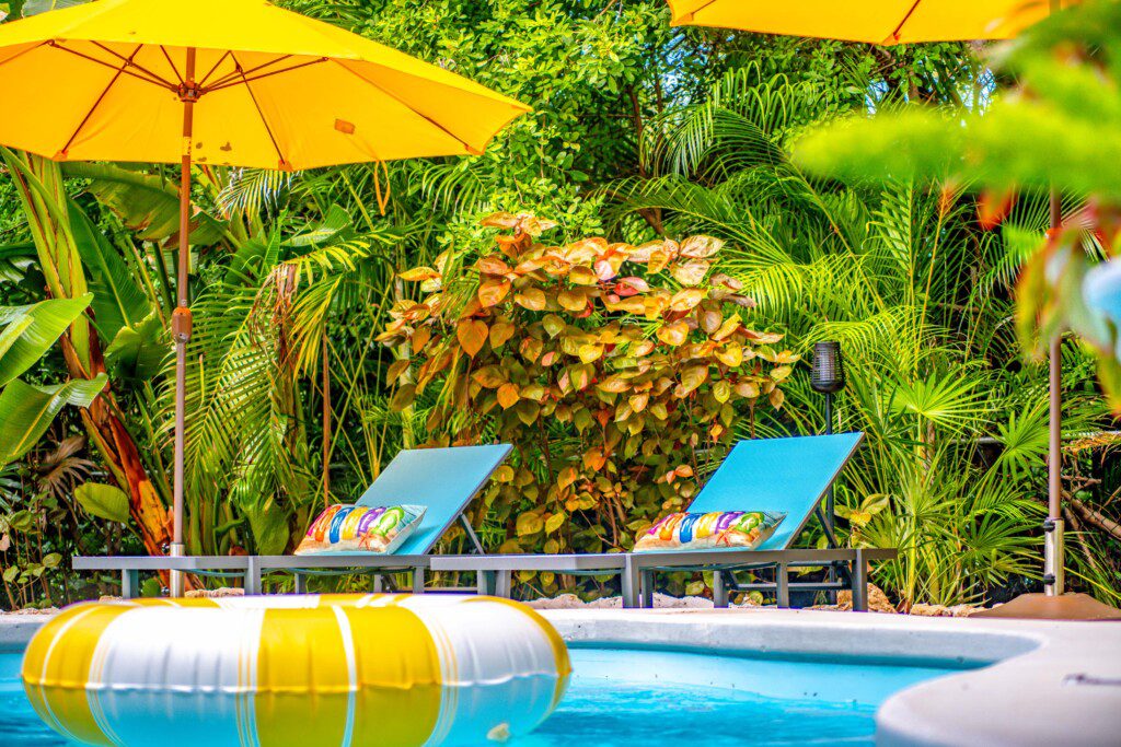 a685c55d 5e23 4f0d afec 1313e939a635