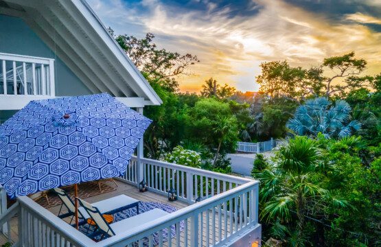 fcde3d9a f0f0 4b9e bf3d 3e490a5b55f9