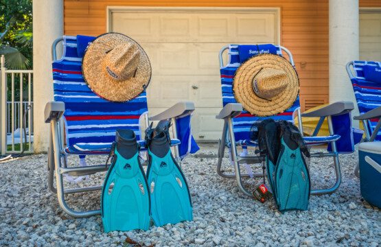 e9665e23 7793 46f7 a74b 36afed1511e1