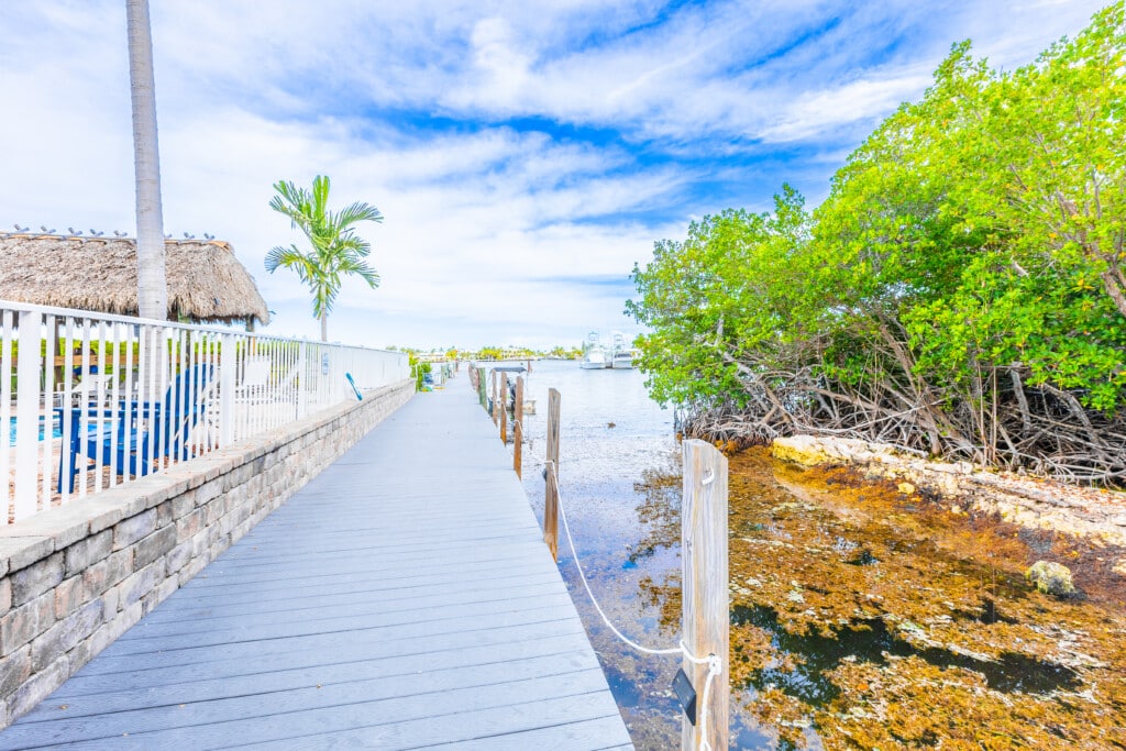 Start your day the Keys way! Head out on the water, cast a line, explore nearby islands, and make unforgettable memories.