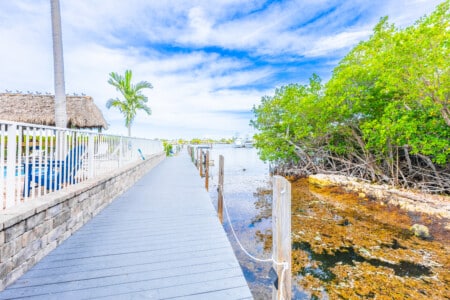 Start your day the Keys way! Head out on the water, cast a line, explore nearby islands, and make unforgettable memories.