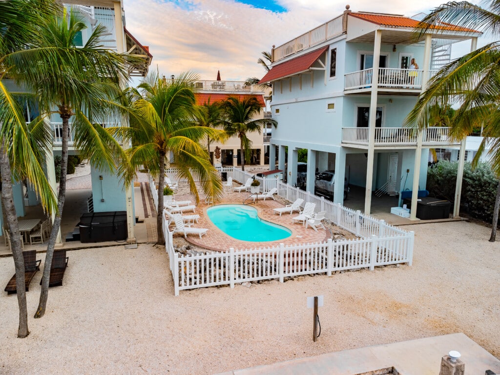 Relax and unwind in the sparkling pool, surrounded by palm trees and comfortable lounge chairs