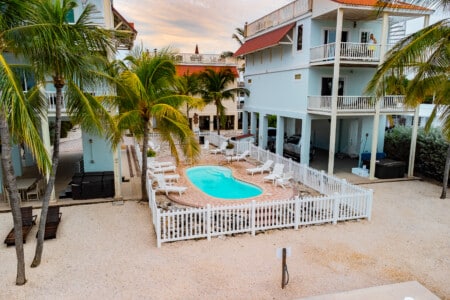 Relax and unwind in the sparkling pool, surrounded by palm trees and comfortable lounge chairs