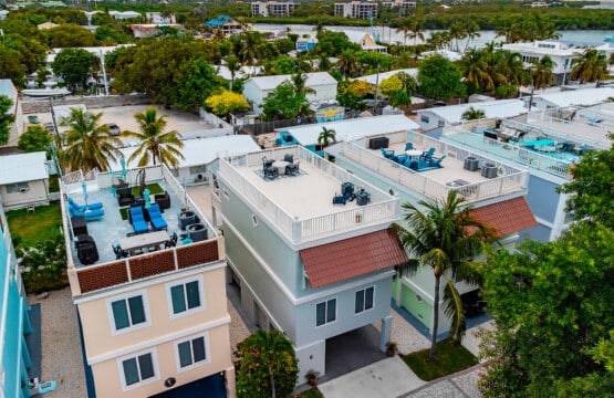 Enjoy the Rooftop surrounded by swaying palm trees and a relaxed tropical atmosphere.